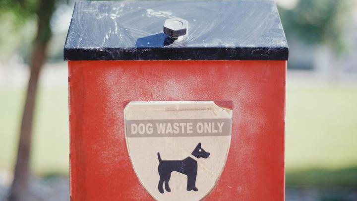 red dog poo bin